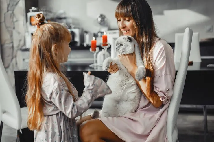 Pet grooming business prepared to serve a customer